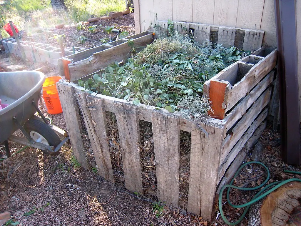 Wooden pallet compost bin in a garden