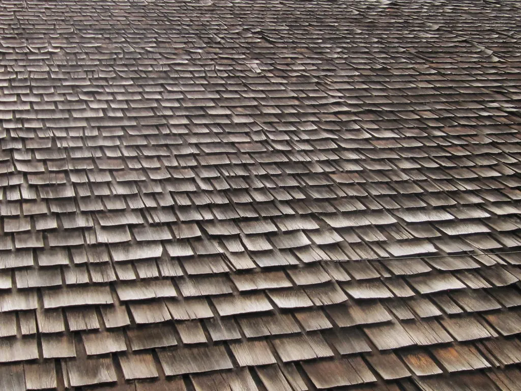 Close-up of a shingled roof